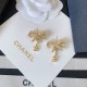 Earrings with eye-catching designs 2023SS CHANEL Chanel Earrings with eye-catching designs 2023SS CHANEL Chanel